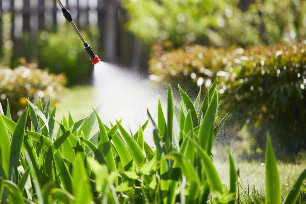 Tamper-Resistant Bait Stations for Rodents in Woodbine