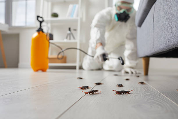 Commercial Rodent Management in Woodbine